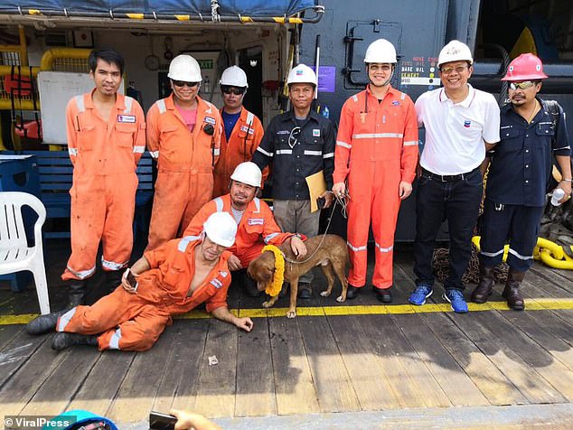 The team on board the oil rig stand with the dog they saved and have put a lei of flowers around her neck