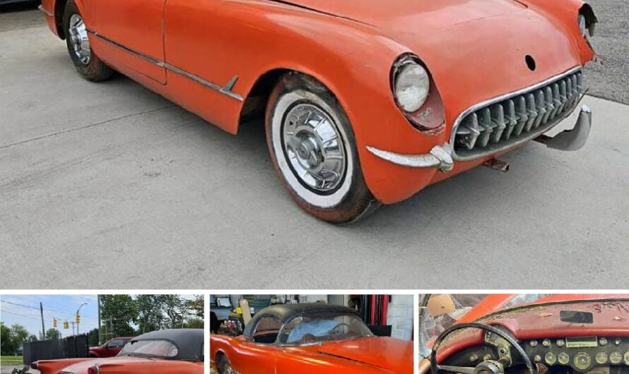 1954 Chevrolet Corvette 3-Speed Project