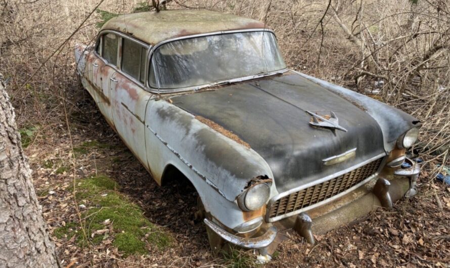 1955 Chevrolet Bel Air Abandoned on Private Property: A Captivating American Icon