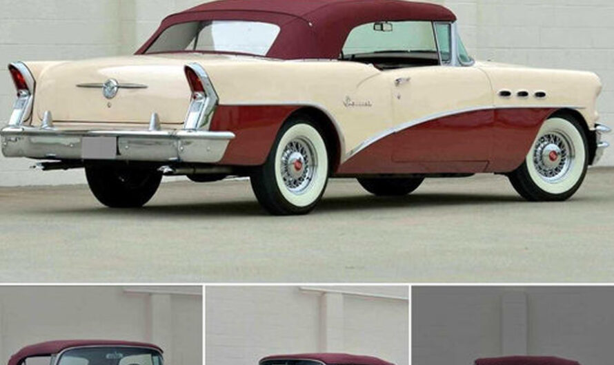 1956 Buick Special