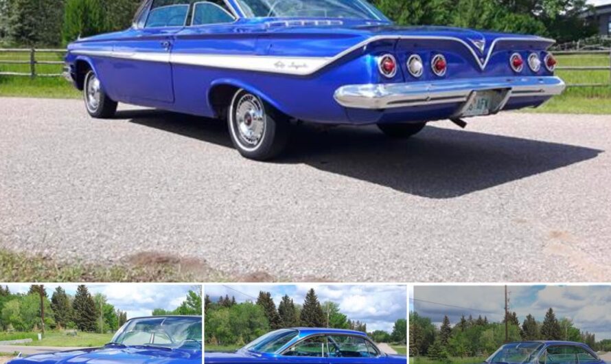 1961 Chevrolet Impala: Where Vintage Beauty Meets Unmatched Performance