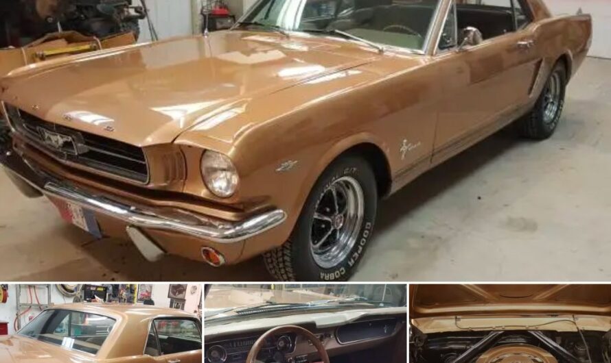 Prairie Bronze 289/4-Speed: 1965 Ford Mustang