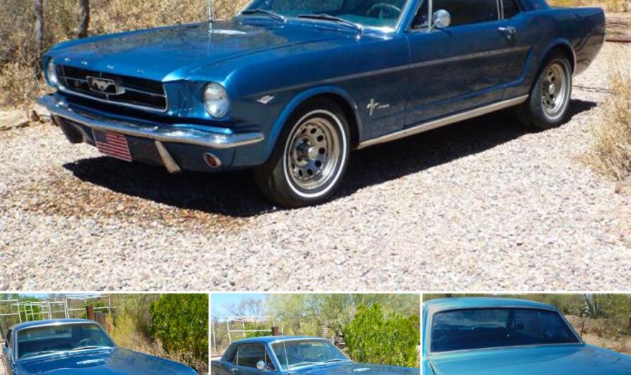 1965 Ford Mustang: The Classic Pony Car That Defined an Era