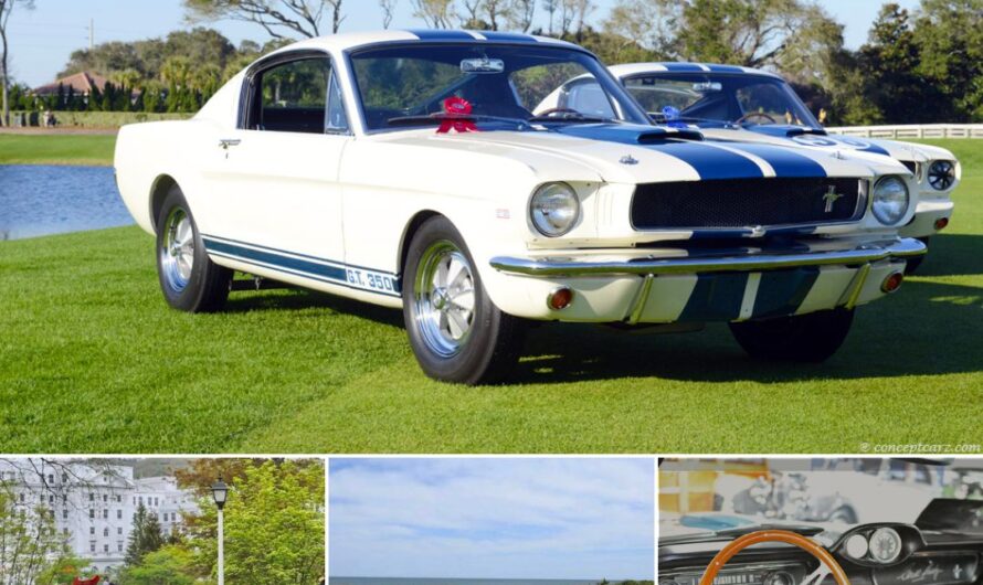 1965 Shelby Mustang GT350