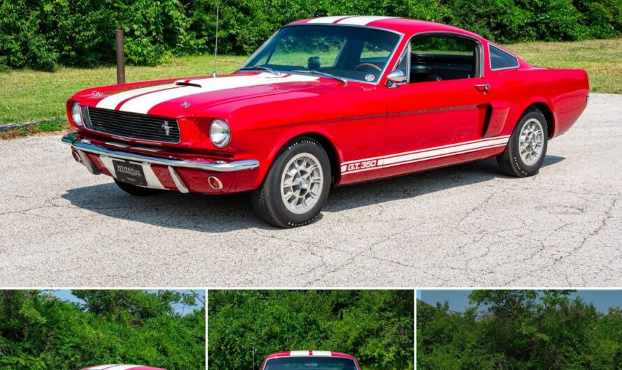 Paxton-Supercharged 1966 Shelby Mustang GT350 5-Speed