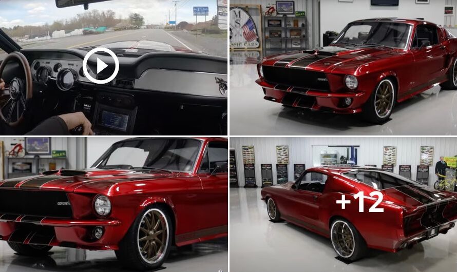 Experience Power and Elegance: Introducing the 1967 Ford Mustang Fastback Custom