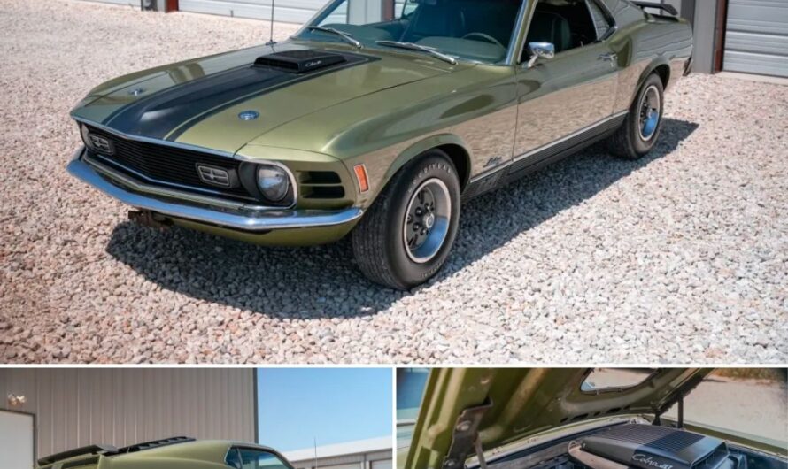 Rediscovering a Legend: The 1970 Ford Mustang Mach 1 428 Super Cobra Jet 4-Speed