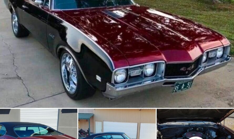 Unveiling the Timeless Beauty: The 1970 Oldsmobile Cutlass 442