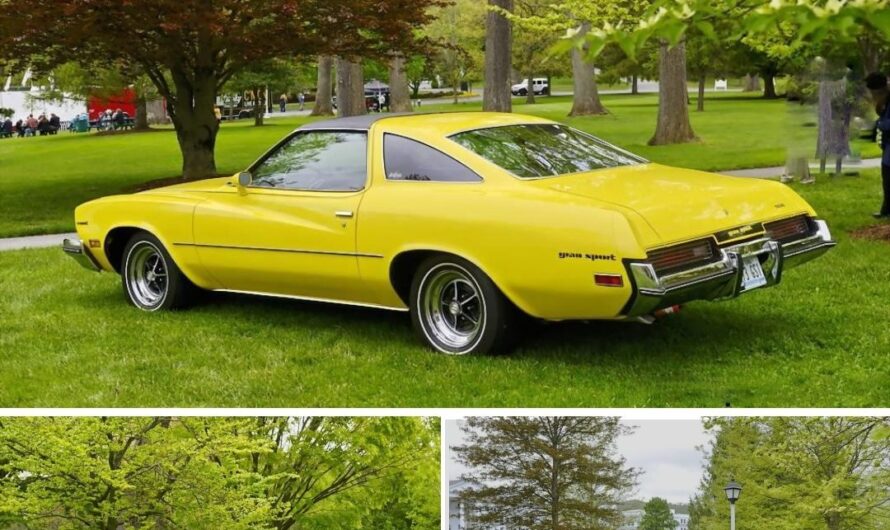 1973 Buick Century Hardtop Coupe: Reliving the Glory of American Muscle Cars