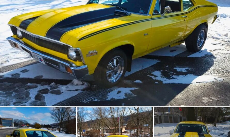 355-Powered 1972 Chevrolet Nova 4-Speed