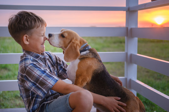 cute boy and dog Beagle sitting hugging on the veranda of the house on a summer evening against the sunset