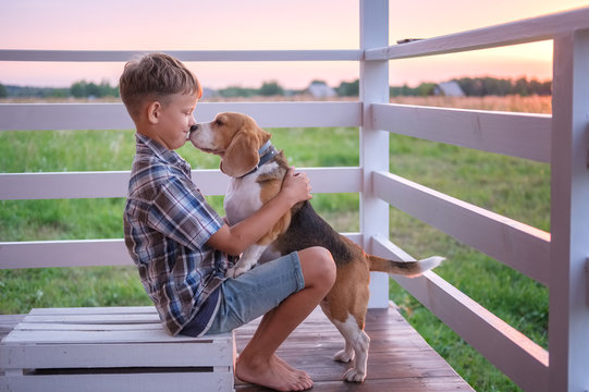 cute boy and dog Beagle sitting hugging on the veranda of the house on a summer evening against the sunset