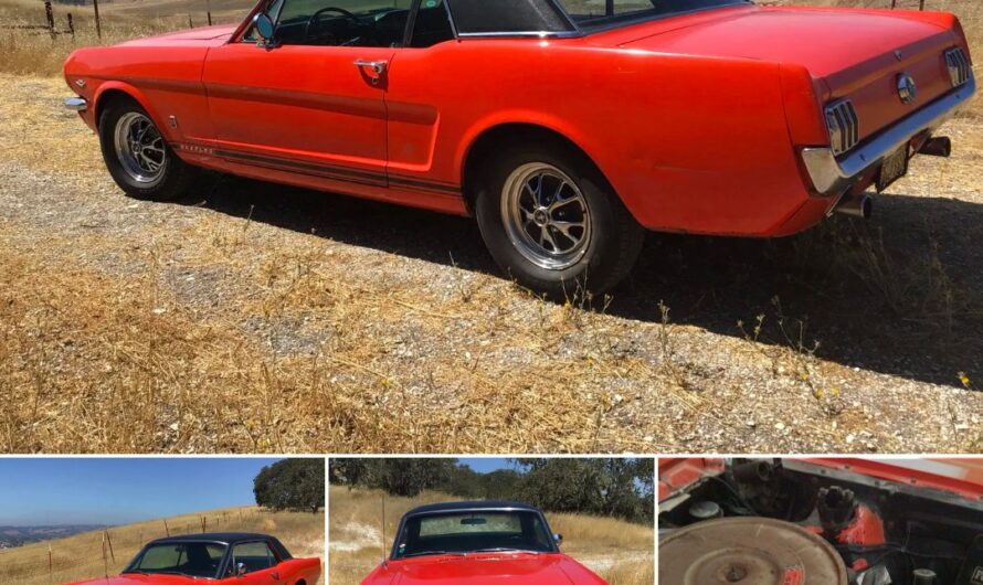 58-Years-Family-Owned 1965 Ford Mustang GT Coupe