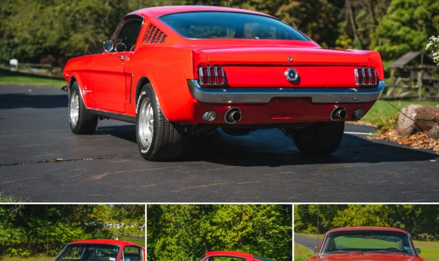 Unleash the Roar: A Journey into the 289-Powered 1965 Ford Mustang Fastback Phenomenon