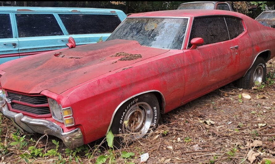 Reviving a Forgotten Beauty: The Story of a 1971 Chevrolet Chevelle