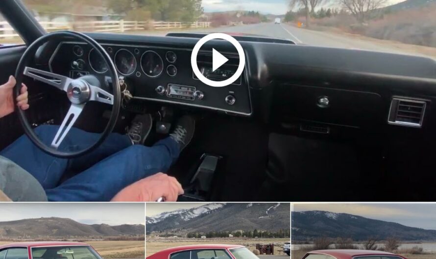 Driving the 1970 Chevrolet Chevelle Malibu SS 454 Sport Coupe