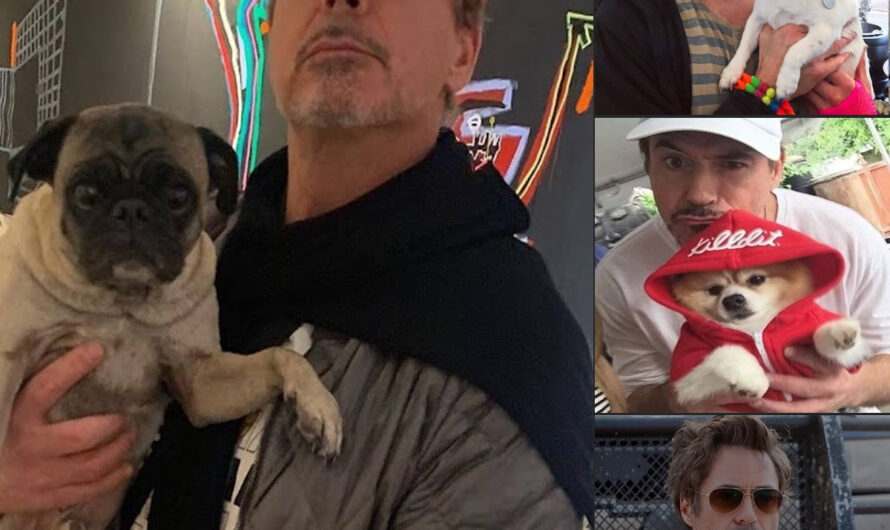 Ironman Actor Robert Downey Confesses that Lately, He Can’t Live without His Rescued Animals – ilovecars.fun