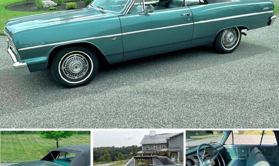 1964 Chevrolet Chevelle Malibu Convertible