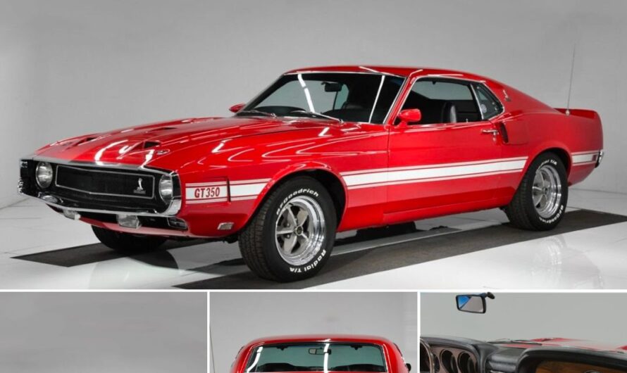 1969 Shelby GT350 Fastback