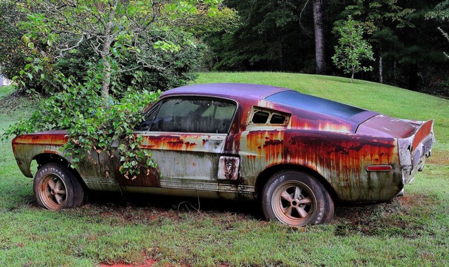 15 Stories About Abandoned Mustangs That Make Car Lovers Think