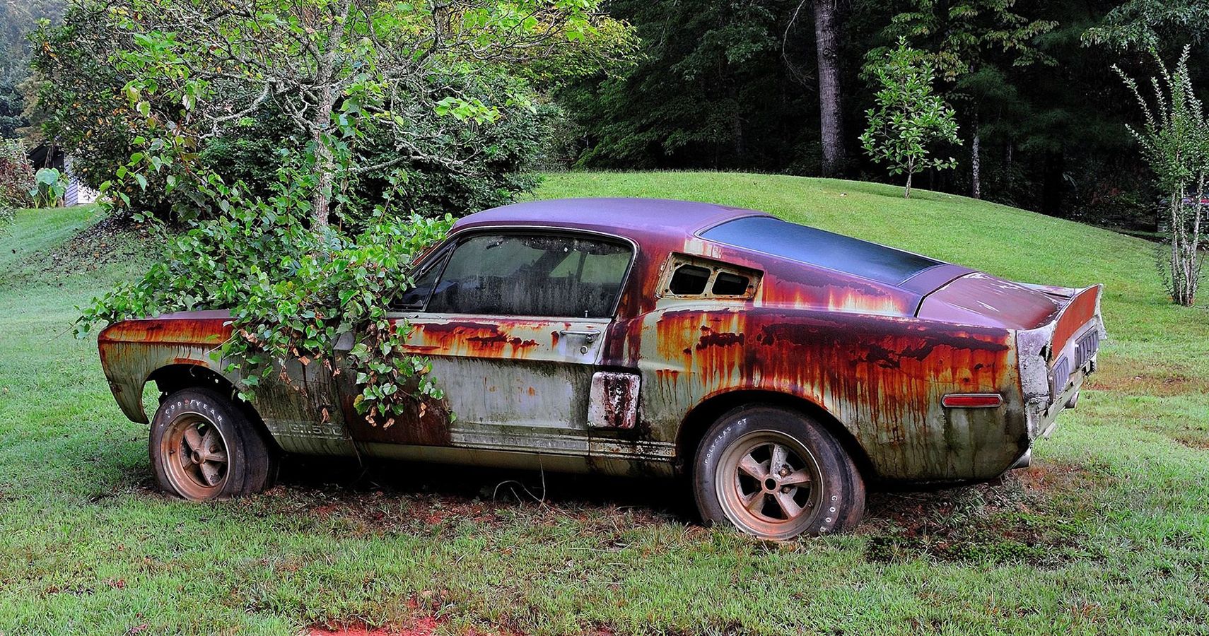 1967 Ford Mustang Shelby GT500: Powered By Nature