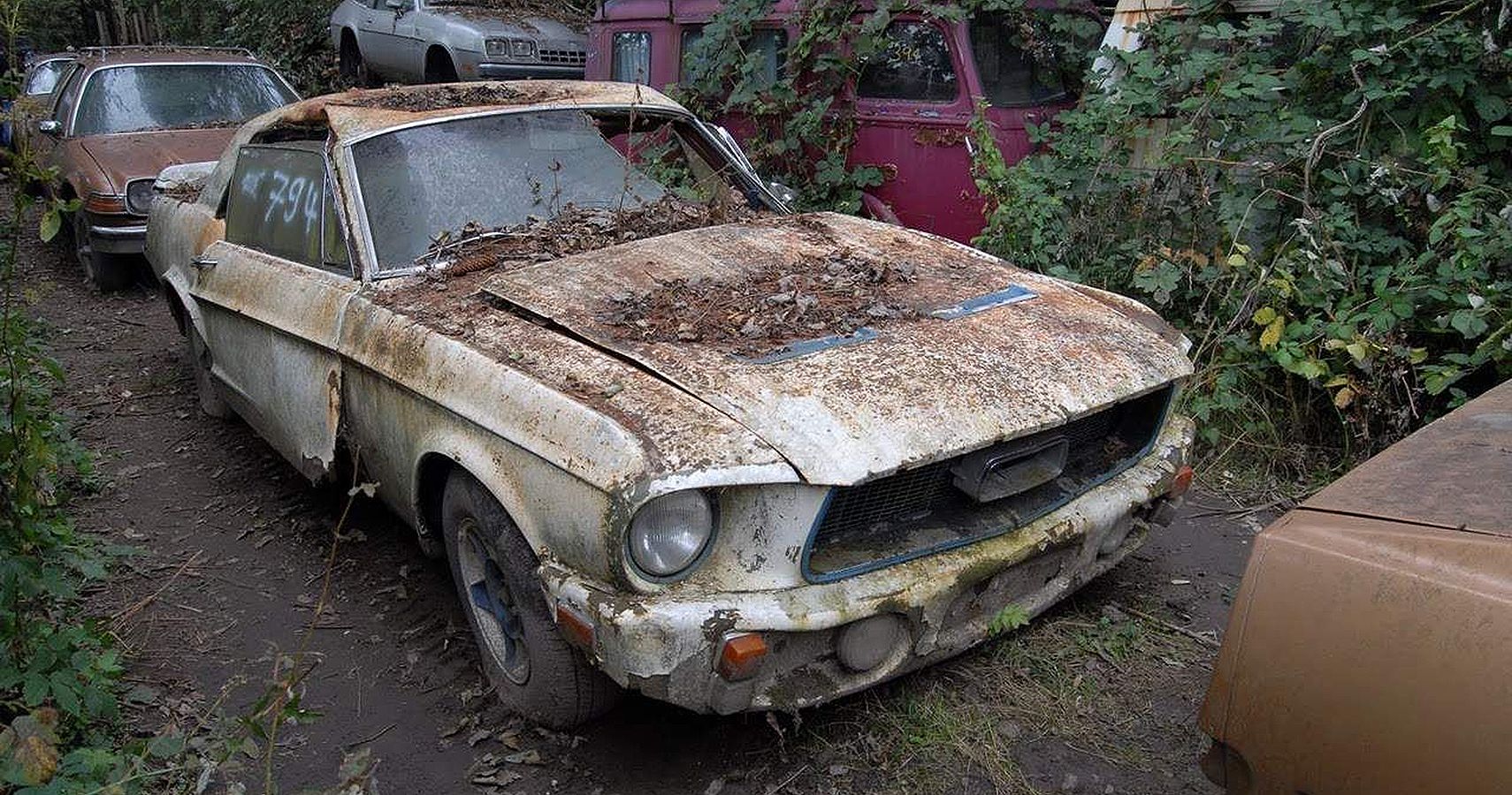 1967 Ford Mustang Fastback: Yet Another Icon Rusts