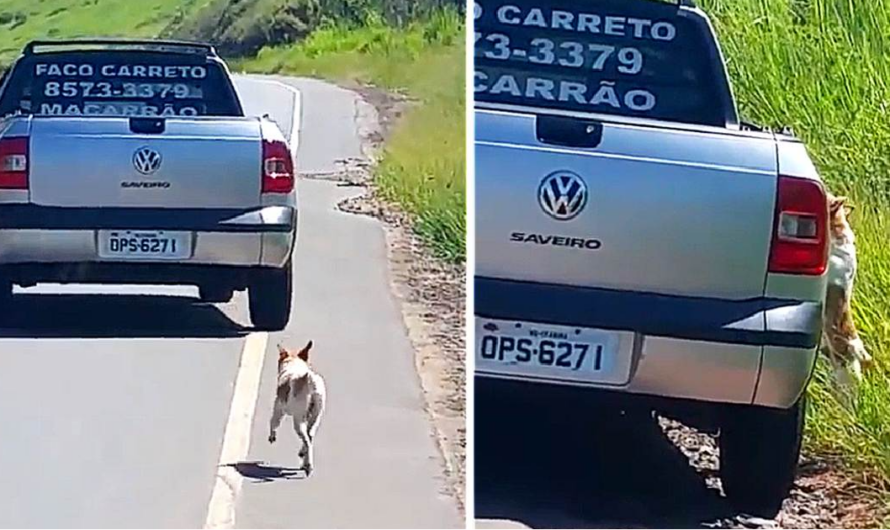 A compassionate man was deeply touched by a viral video depicting the heart-wrenching abandonment of a dog. His empathy led him to take action, embarking on a mission to find and rescue the abandoned canine.