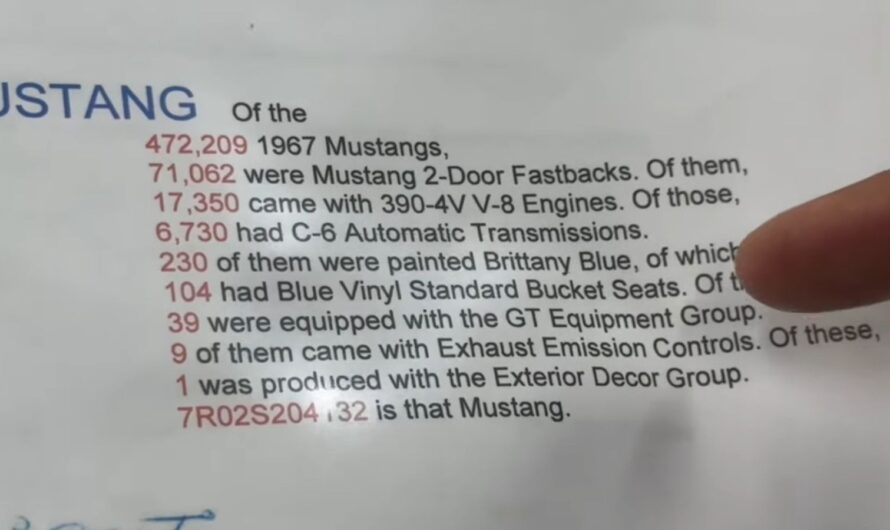 The Tale of Why a Super Rare 1967 Ford Mustang GT 390 Lay Abandoned in a Barn for 50 Years- Unlocking the Mystery