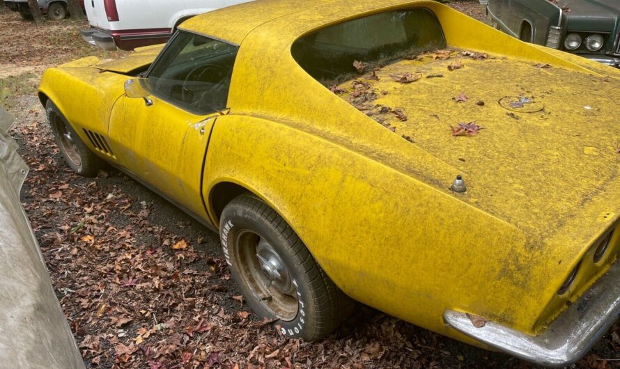 1968 Chevrolet Corvette Rotting Away Near a Forest Is Full of Surprises