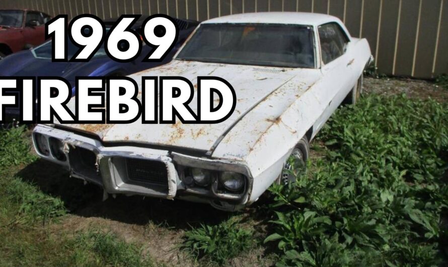 1969 Pontiac Firebird Resurfaces After Decades, Fighting for Survival