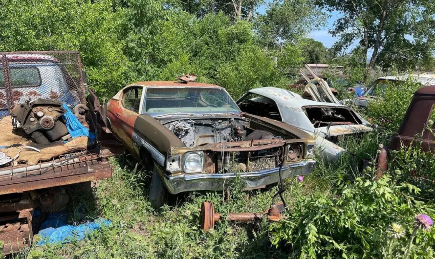 1972 Chevrolet Chevelle Was Rescued from the Crusher, Sat Out Back for 30 Years