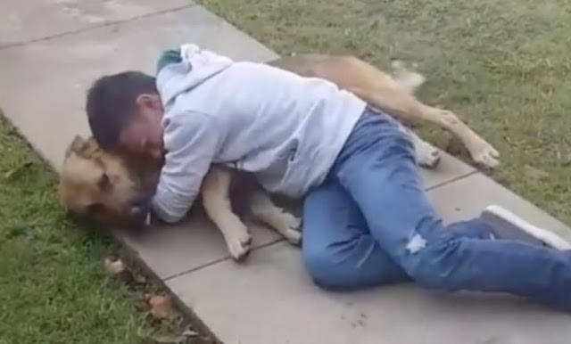 Emotional Reunion: A Boy’s Heartfelt Hug with His Long-Lost Dog After Nearly a Decade Apart.