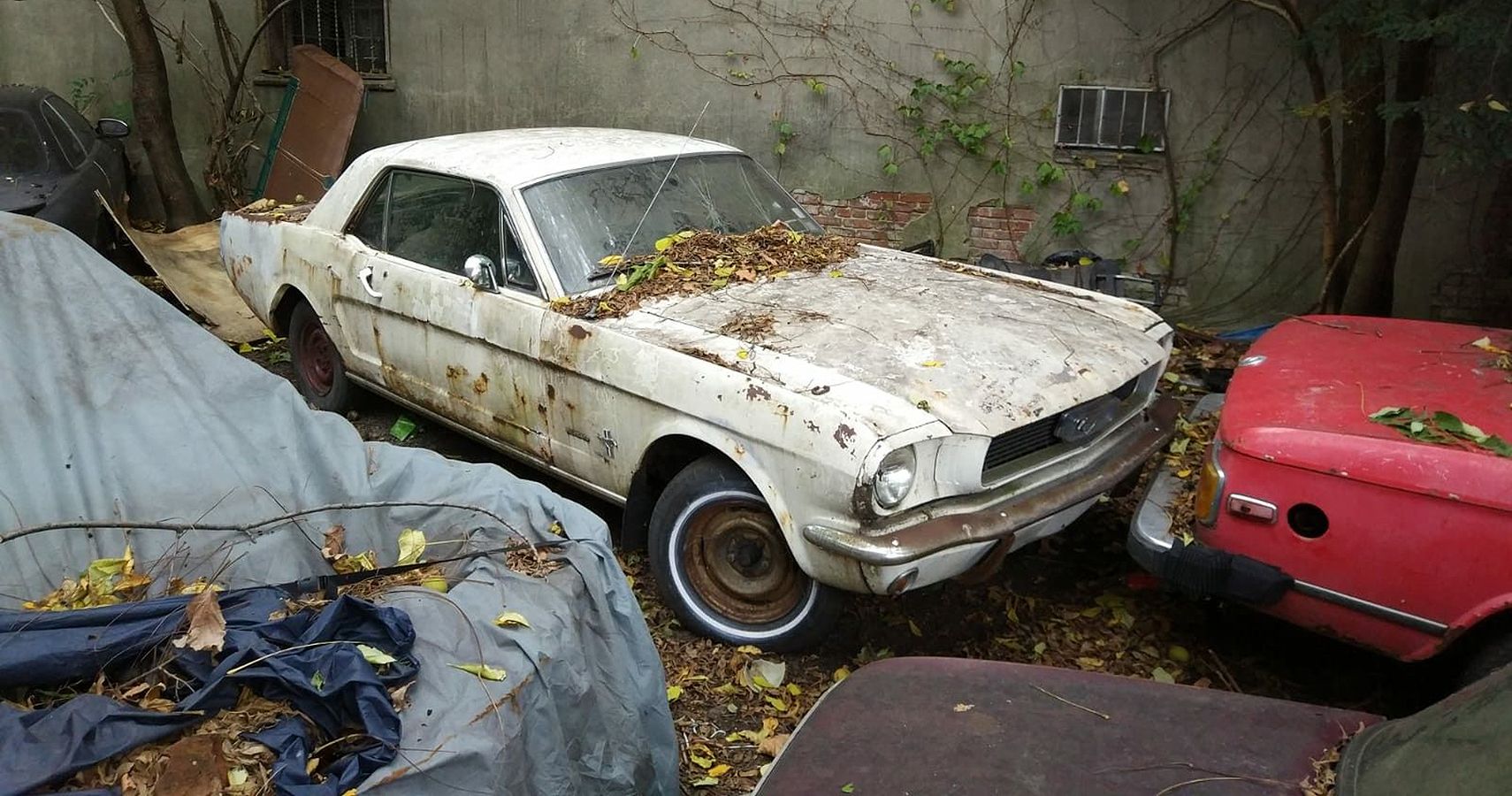 1967 Ford Mustang I, Hardtop: Rusted Patina And All