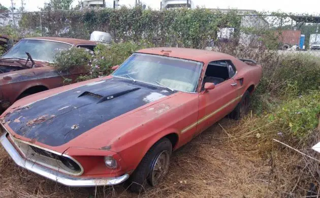 This 1969 Mustang Mach 1 was parked outside for a long time without seeing its owner