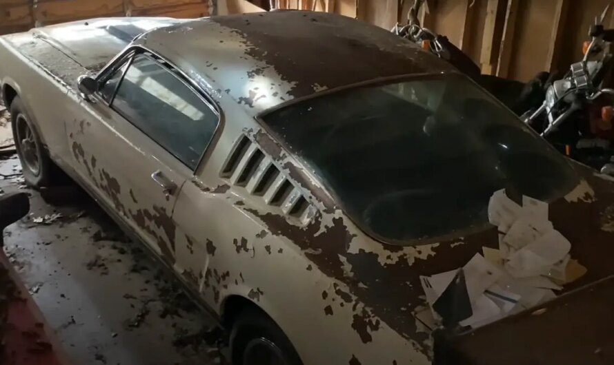 Rare 1965 Ford Mustang Shelby GT350 Discovered in Abandoned Home, a Hidden Gem Worth a Fortune