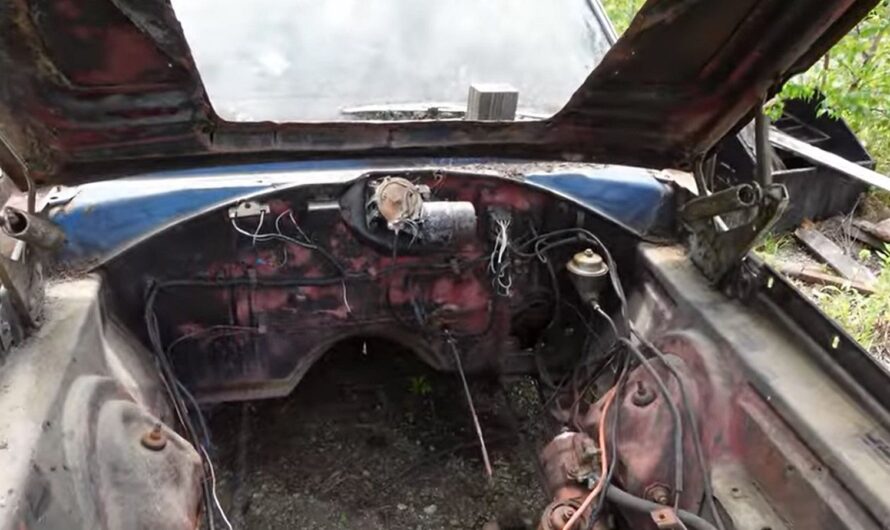 Steve Magnante’s Discovery: Unique Abandoned Dodge Charger Caught on Camera