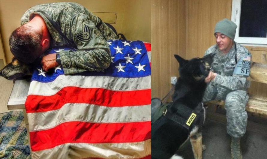 Soldier Gives His K-9 Partner One Last Hug, Stays With Him Until His Last Moments