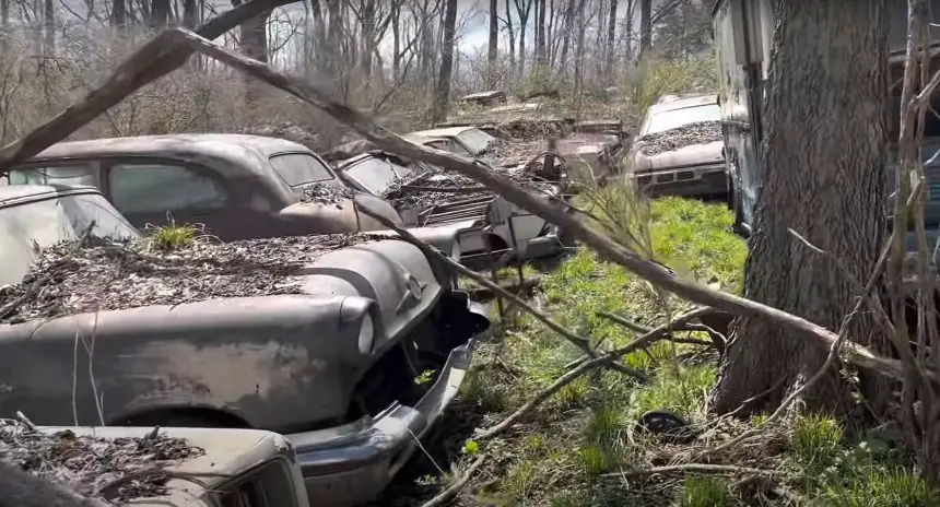 abandoned forest junkyard