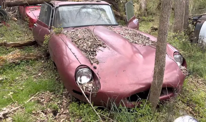 abandoned forest junkyard