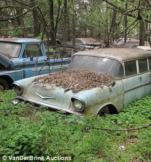 Rusting: The majority of the 500-or-so vehicles belonging to Ray and Mildred Lembrecht are lying outside on their private lot - while others have pride of place in the sealed garage in town