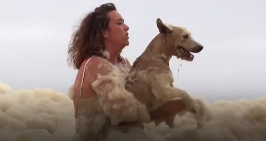 Woman Rescues Her Dog From Freak Sea Foam That Blankets Beach