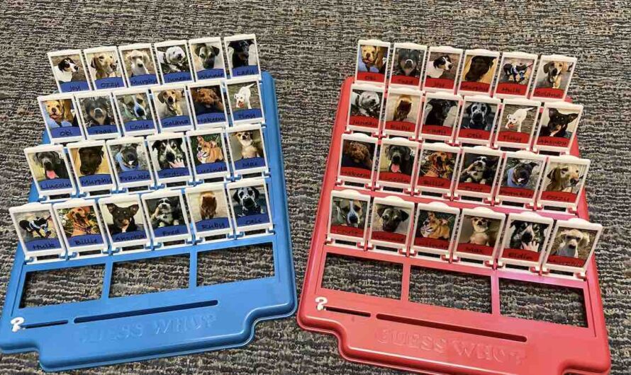 Man Makes ‘Guess Who?’ Game For His Fiancée Featuring All The Dogs They Know