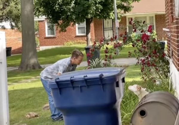 Stray Rescue of St Louis comes to the rescue of 2 dogs