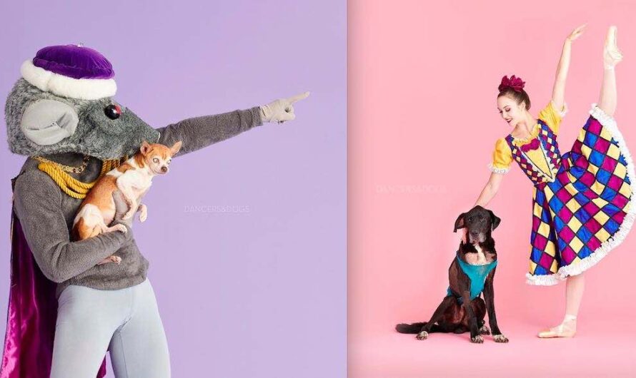 Delightful ‘Muttcracker’ Pairs Rescue Dogs With Dancers To Find Them Homes