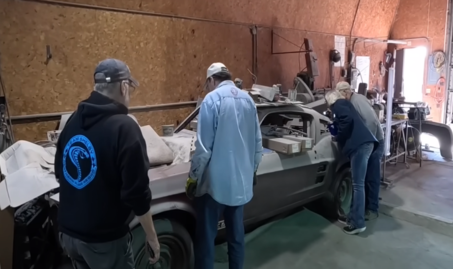 The story of this abandoned 1967 Shelby Mustang GT500 will touch your heart