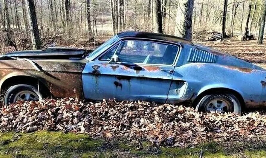 Surprise About Rare’s Story 1968 Ford Mustang Cobra Jet Was Abandoned in the Forest