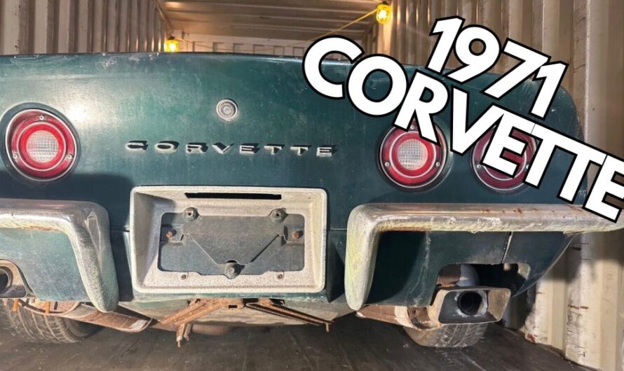 1971 Corvette Idle for Two Decades, Neglected on Private Land, Awaits a Revival